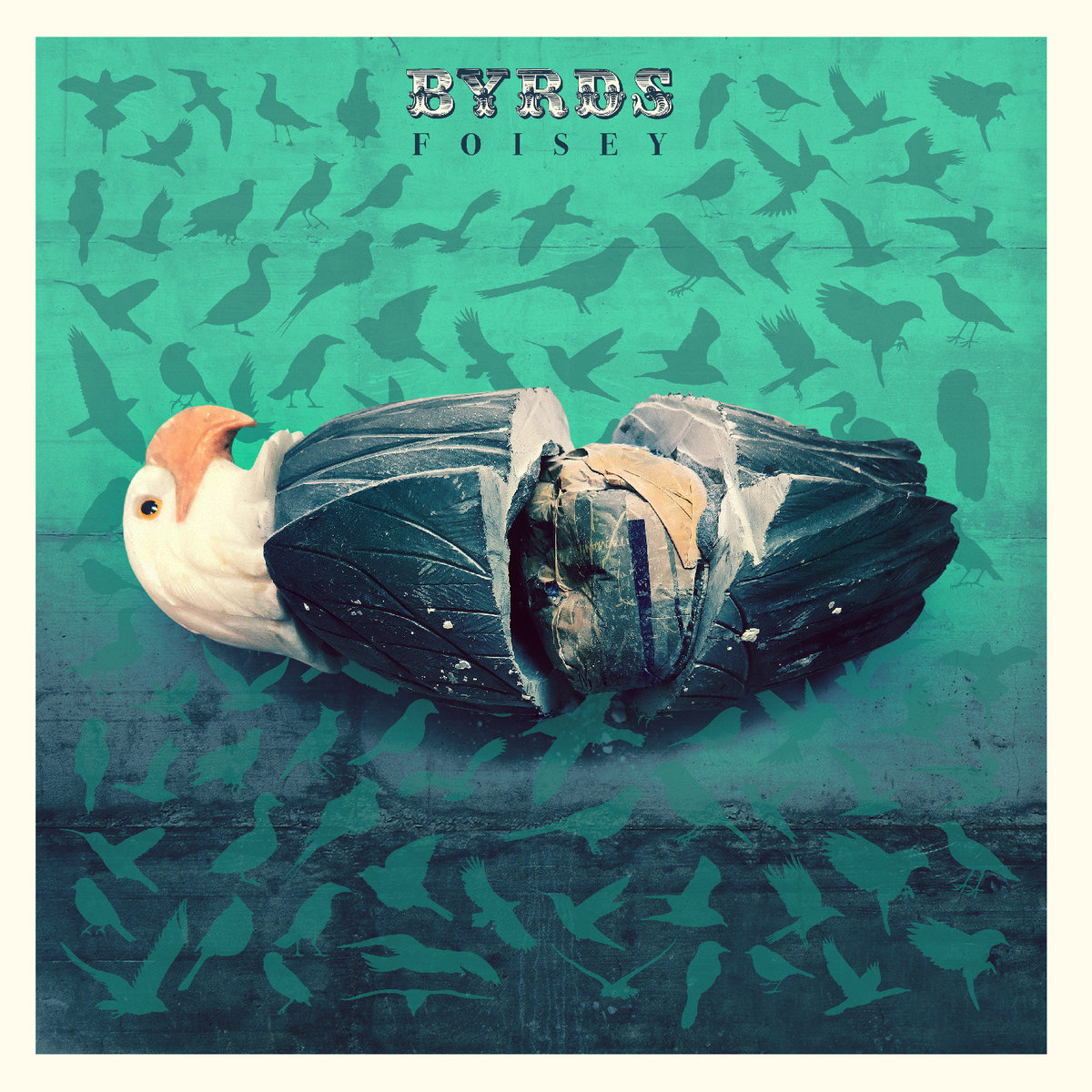 foiseybyrds